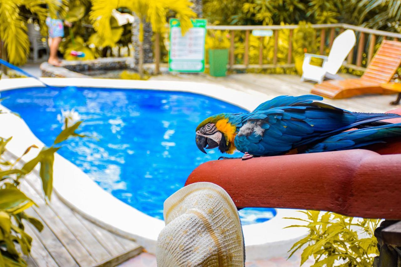 Casa Hostal Villa Del Rio El Zaino Εξωτερικό φωτογραφία